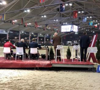 BWP Online Foal Auction: collection is online BWP Online Foal Auction: collection is online