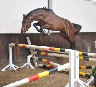 Wedstrijd vrijspringen van 18 februari: inschrijvingen open! Wedstrijd vrijspringen van 18 februari: inschrijvingen open!