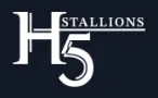 h5
